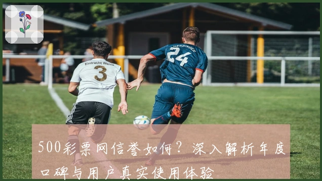 500彩票网信誉如何？深入解析年度口碑与用户真实使用体验