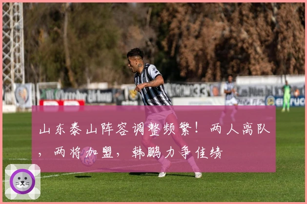 山东泰山阵容调整频繁！两人离队，两将加盟，韩鹏力争佳绩