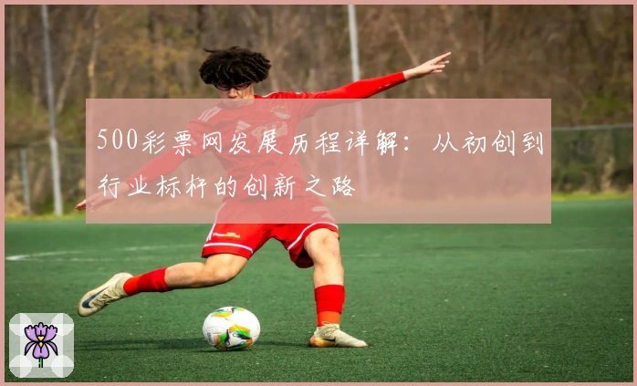 500彩票网发展历程详解：从初创到行业标杆的创新之路